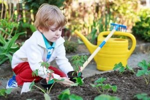 Preschool Vegetable Garden - Natural Playground